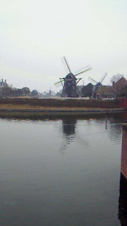 201102081506000.jpg